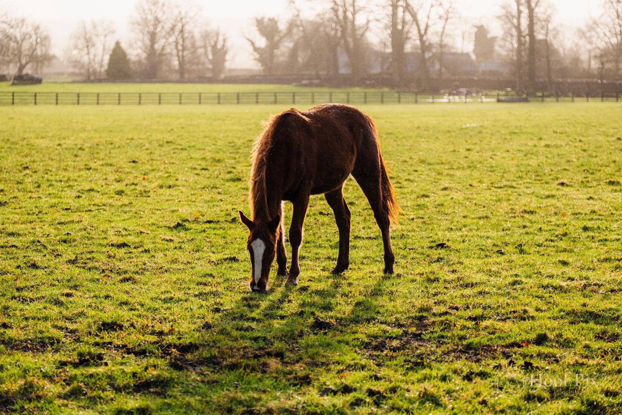 Didn't find the category you're looking for?             
                