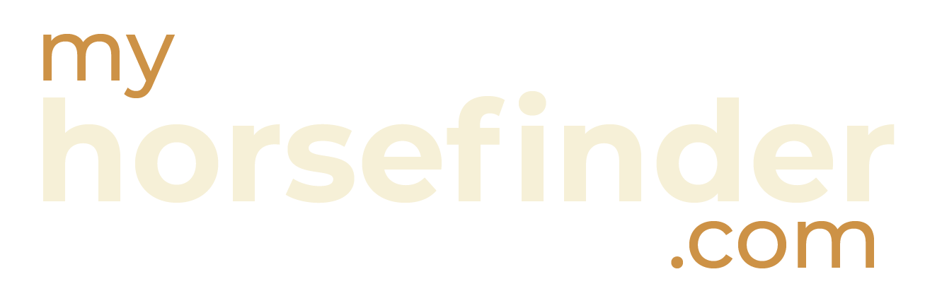 Listivo - Classified Ads & Directory Listing WordPress Theme